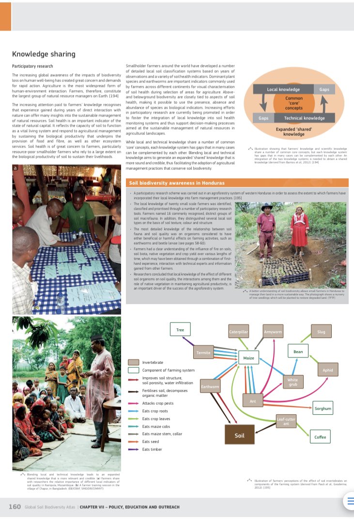 The immense value of local knowledge on soil biodiversity🍄🪱

#IndigenousPeoplesDay