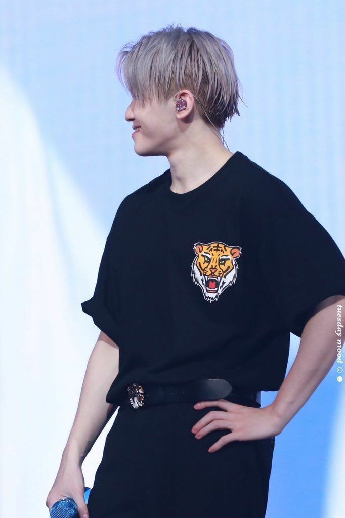 wooaahaeee's tweet photo. Late thought but I always shed a little tear whenever I see or remember that oty stage where they sang 9teen and when its was woozi singing "my ninteen" he pointed towards the tiger on his shirt that was designed by hoshi, no i am not okay😭😭 https://t.co/wwebPWJwsu