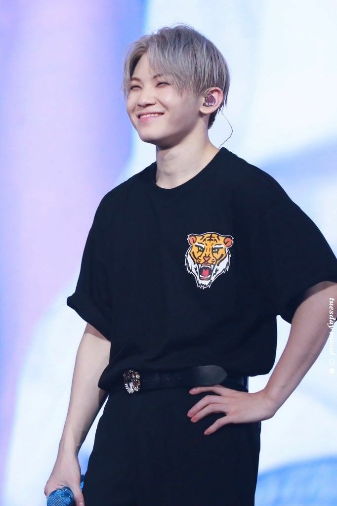wooaahaeee's tweet photo. Late thought but I always shed a little tear whenever I see or remember that oty stage where they sang 9teen and when its was woozi singing "my ninteen" he pointed towards the tiger on his shirt that was designed by hoshi, no i am not okay😭😭 https://t.co/wwebPWJwsu