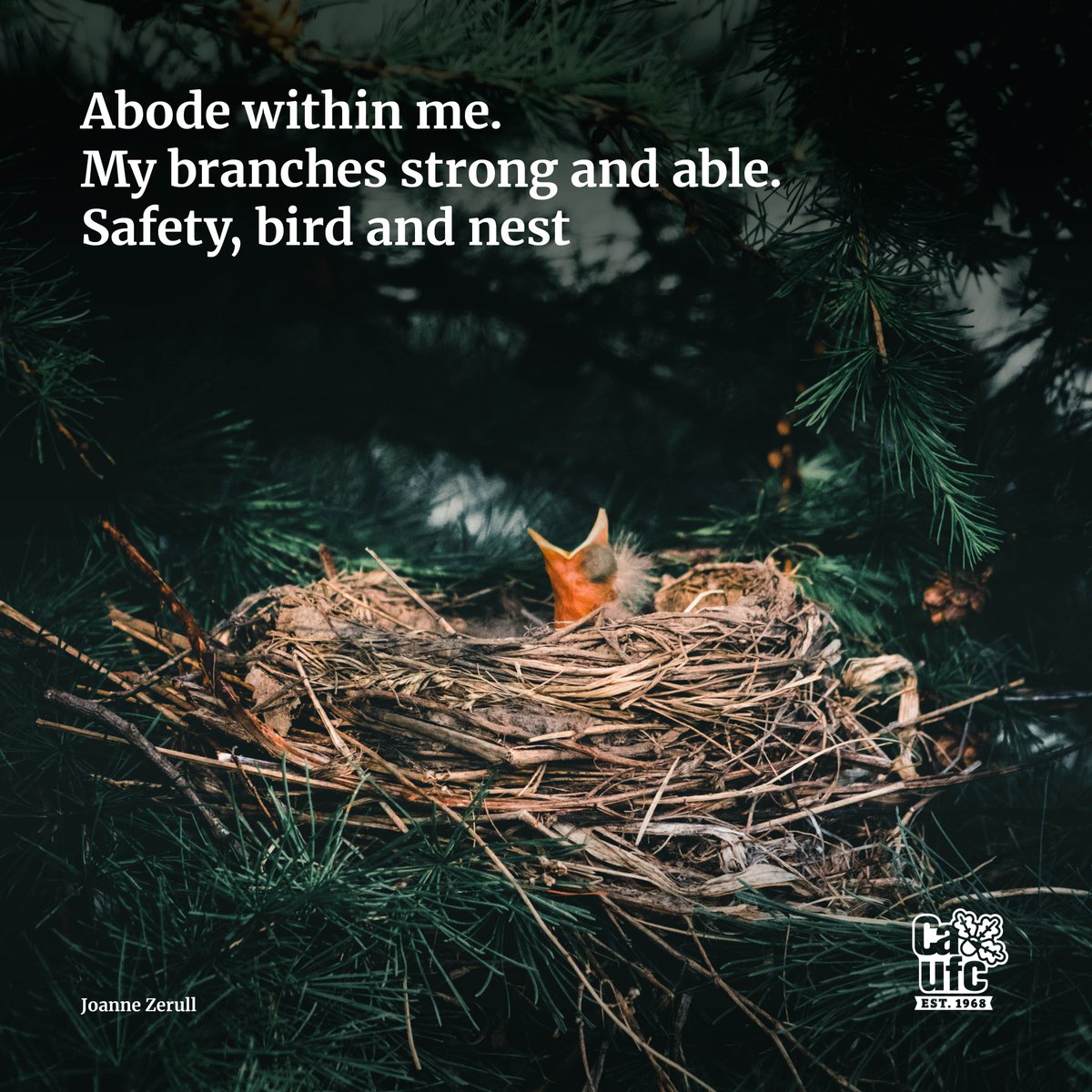 Entered our haiku promotion?
Theme: Birds, bugs, bats, bees…What else relies on trees?
Rules:
-Limit 3 entries/person
-"Keep it clean”
-Close AUG 31
-Enter @ catree.us/haiku21
-We can use your haiku in future promotions
#treesareessential #weneedtrees #trees4all #catrees