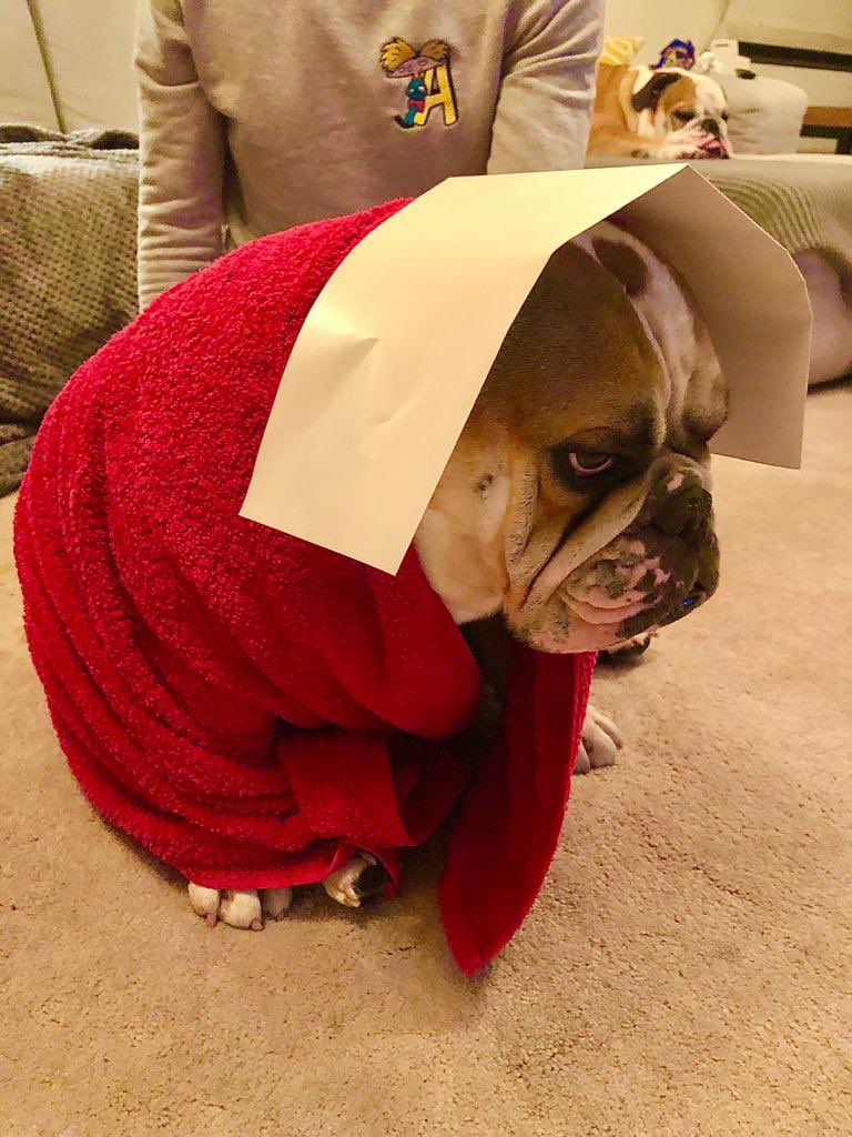 Blessed Be the Fruit #handmaidstale