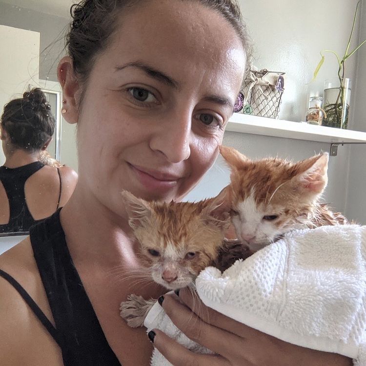 whywefoster's tweet image. Did you recognize any of the voices on the short teaser we released last week? Which guests are you most excited to hear from on the podcast?

👉 EPISODE 3: THE REVOLVING DOOR OF FOSTER PETS debuts tomorrow wherever you listen to podcasts! 🎉