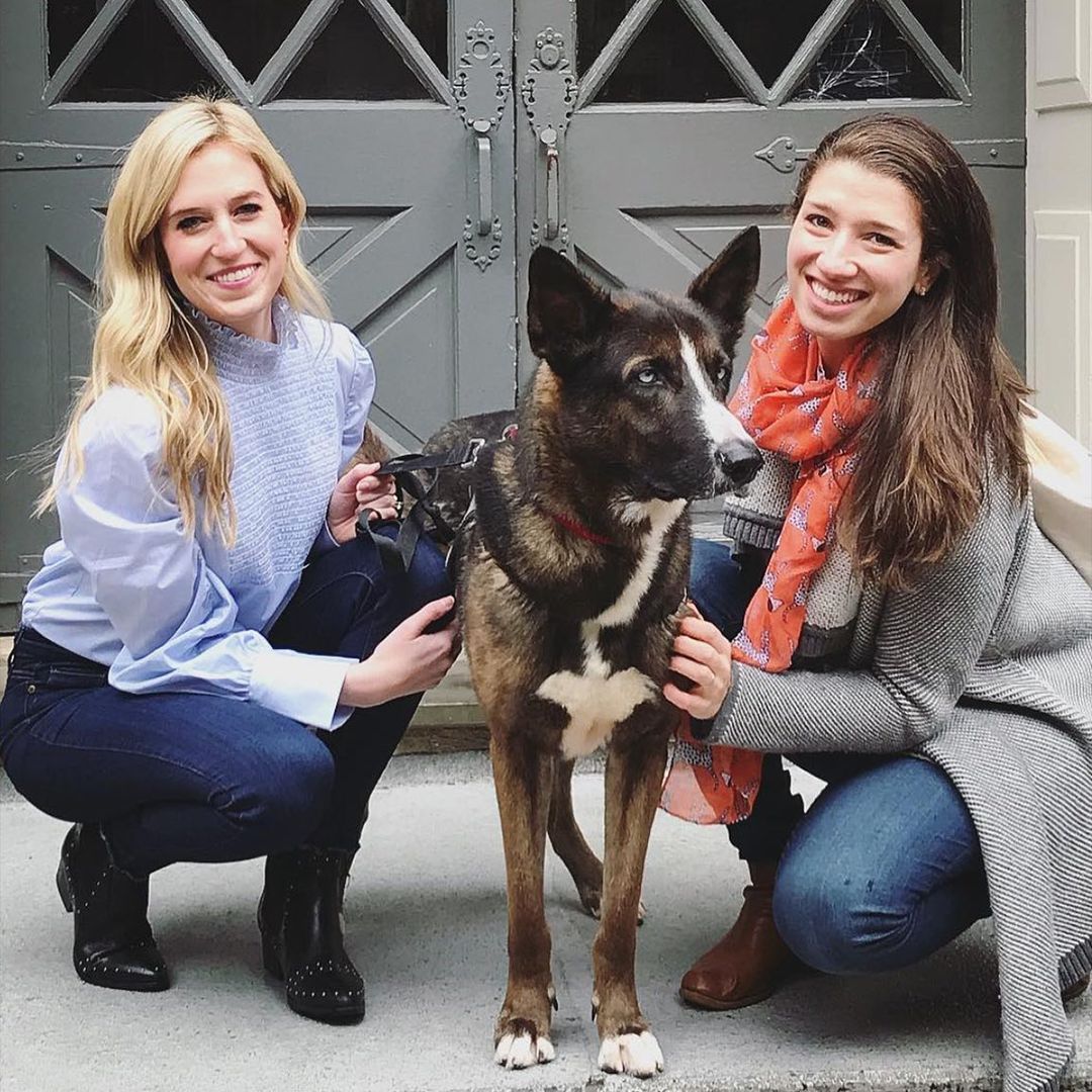 whywefoster's tweet image. Did you recognize any of the voices on the short teaser we released last week? Which guests are you most excited to hear from on the podcast?

👉 EPISODE 3: THE REVOLVING DOOR OF FOSTER PETS debuts tomorrow wherever you listen to podcasts! 🎉