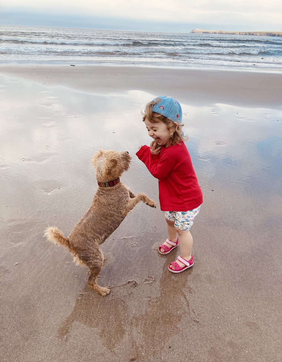 ZaraKitson's tweet photo. Pure joy ♥️ 🐶 🎾
When the fight is this long and this hard, we all need to fill our boots with this good stuff. More regularly than we typically allow ourselves to. #beachtimes #holidays #caithness #toddlervsdog #purejoy #fillingmyboots https://t.co/0AddPFQnbF