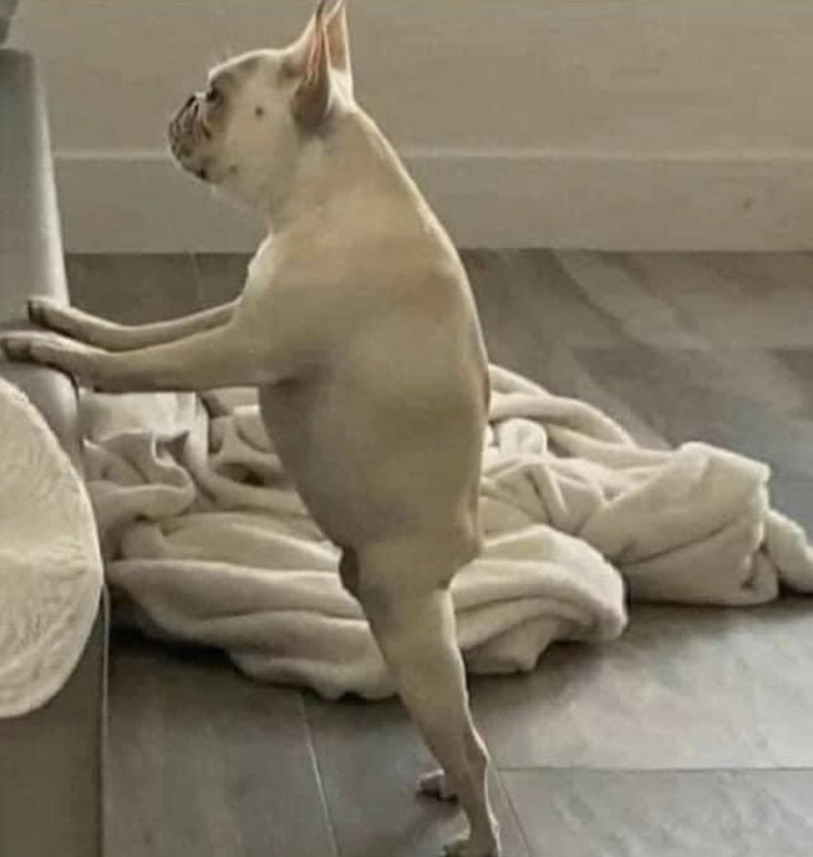 Yer da standing at the bar drinking fosters telling everyone not to get the vaccine