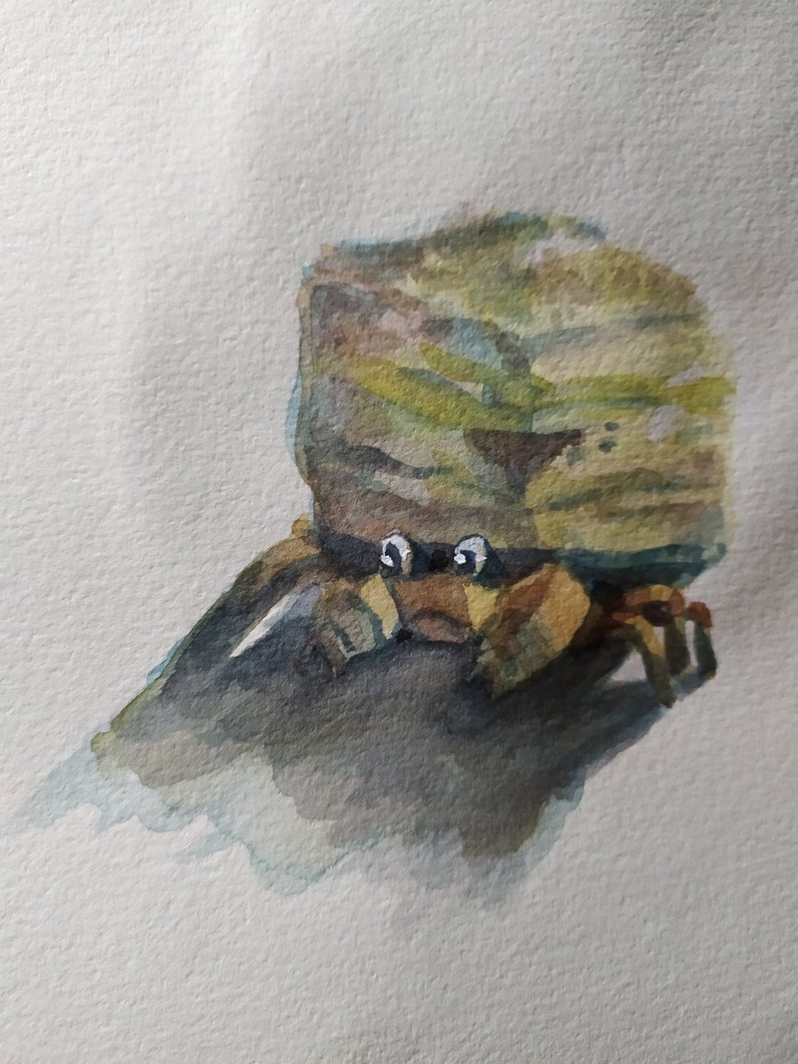 cherrymida's tweet image. Summer lasagna #dwebble #crustle