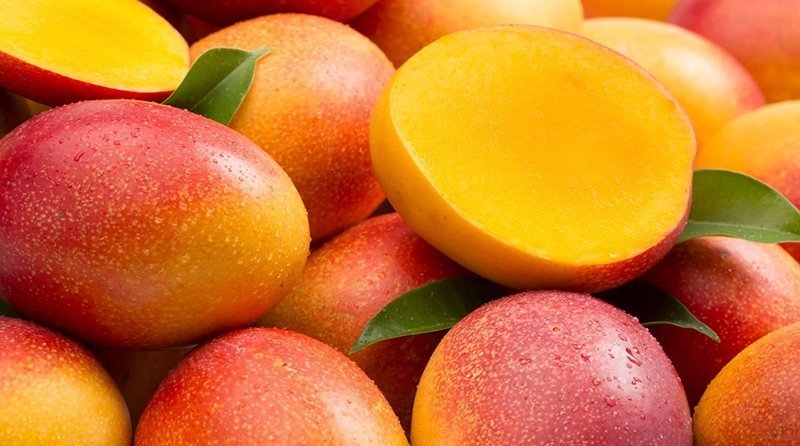 REVISTAFYH's tweet photo. #España sumará 20.000 toneladas de #mango para el presente ejercicio https://t.co/Nfyw4SAFqX @fTROPS @AvoyMangoTrops @RG_tropical @naturaltropic #naturaltropic @frunetoficial @AFTropicales #TropicalMillenium @SigfridoFruit https://t.co/vzqnuwscGF