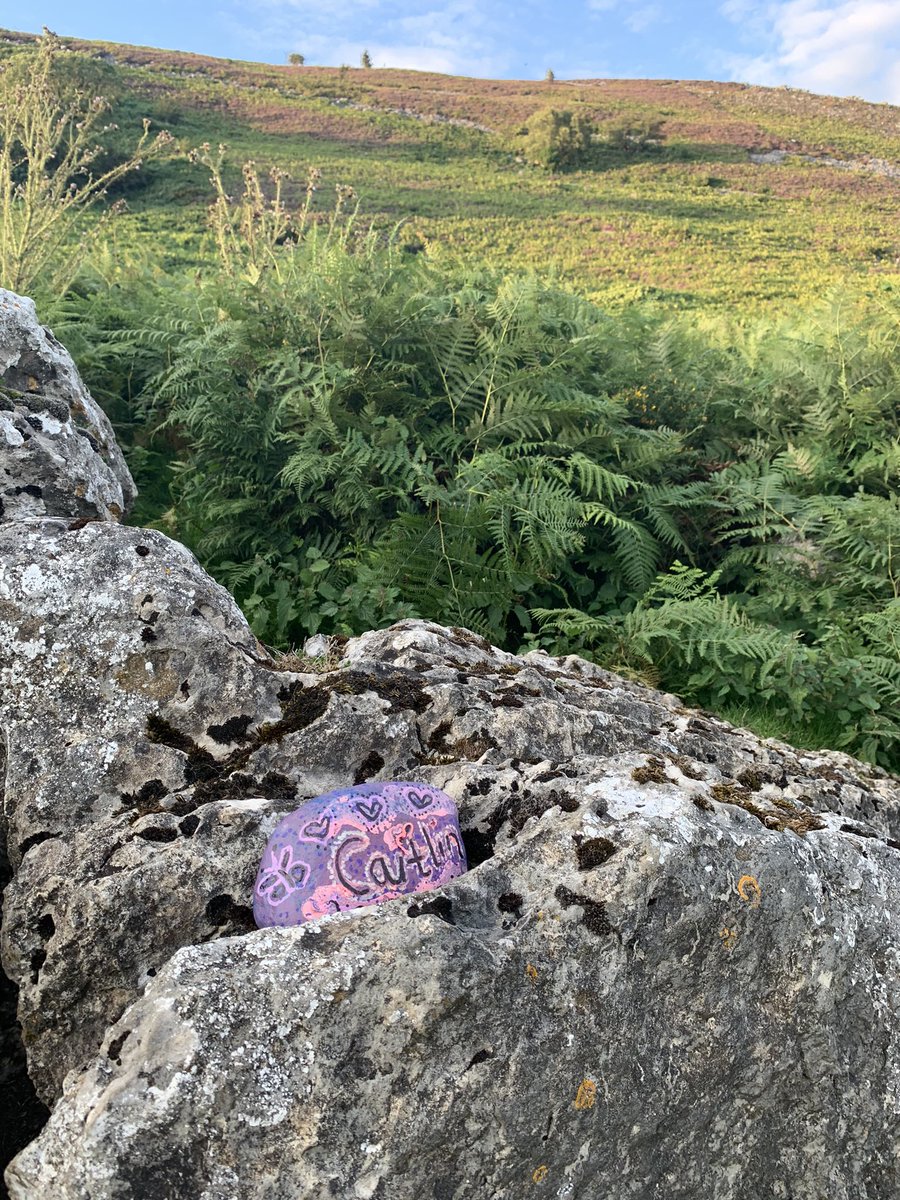 SteveE_Derwen's tweet photo. Belting views down the Dee Valley and beyond this evening 

Nice to see a special something is just where we left it back in June 

#RememberingFriends 🦋 https://t.co/1GX9L4ymdw
