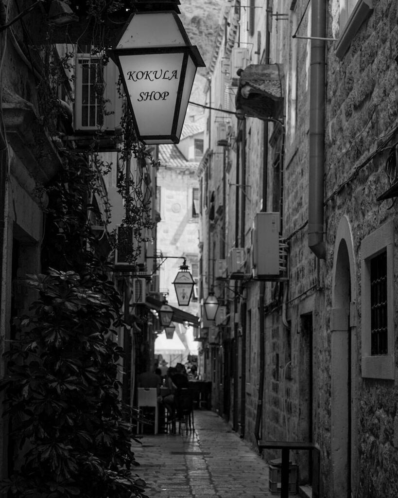 elma_on_tour's tweet photo. Dubrovnik 

·
·
·
#mittelalter #gameofthrones #kroatia #vanlifediaries #croatia #vanlifers #dubrovnikoldtown #medieval #gameofthronesmemes #mittelalterfest #gameofthronesfan #visitcroatia #campervan #dubrovnikonmymind #gameofthronesfanart #metal #gameofthronesaddict #croazia… https://t.co/oaF9T4ZJrw