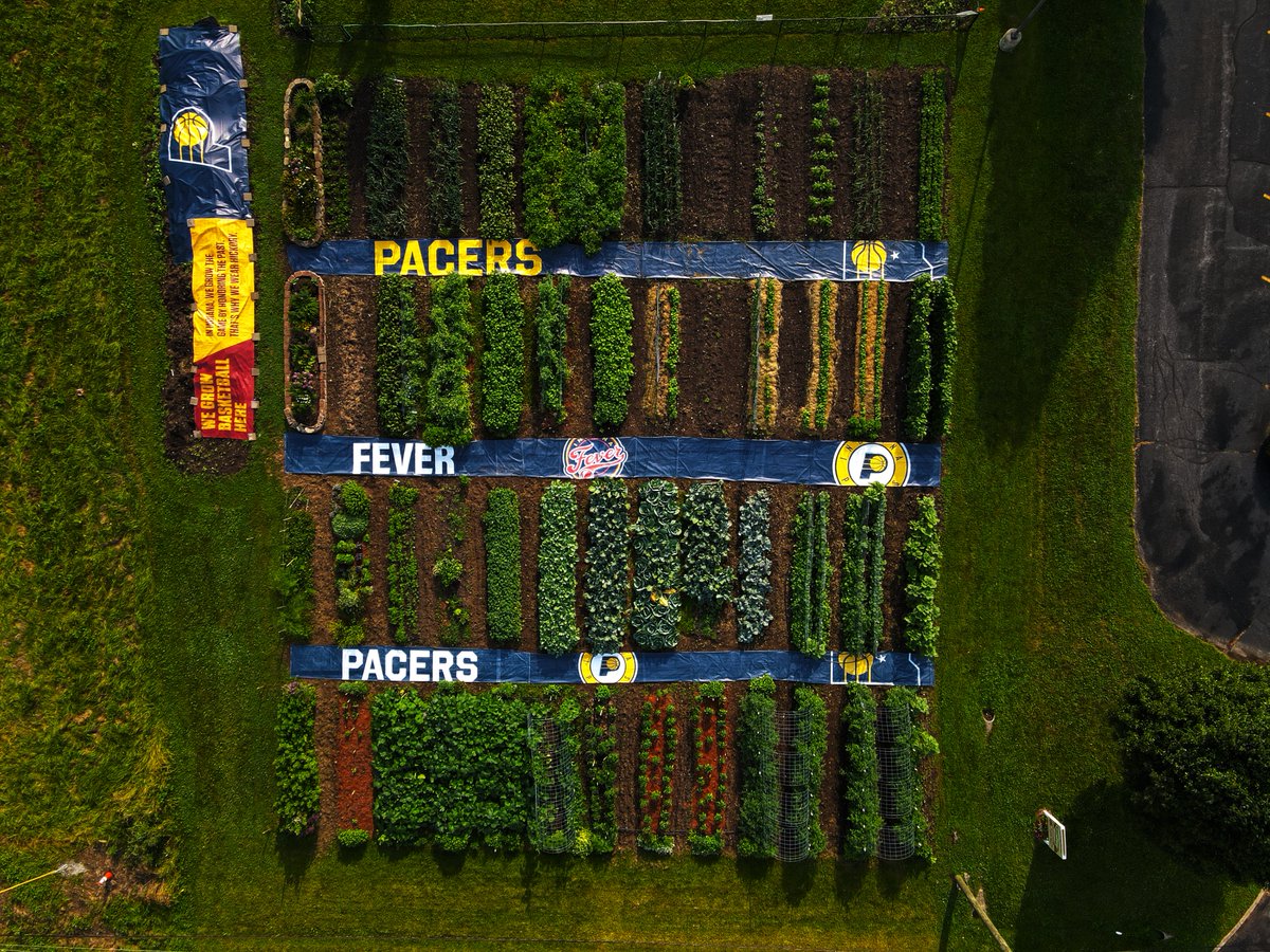 PacersSportsEnt's tweet photo. From hanging in @thefieldhouse to helping in the fields:

Shoutout to Bethany Community Gardens for repurposing some of our old banners. Last year they grew &amp; donated 2.5 TONS of organic produce for our community, helping to fill food insecurity needs &amp; providing healthy options https://t.co/kiCUDPKmjt