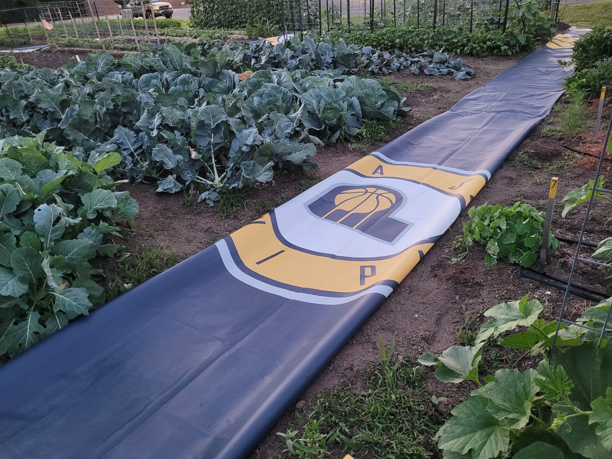 PacersSportsEnt's tweet photo. From hanging in @thefieldhouse to helping in the fields:

Shoutout to Bethany Community Gardens for repurposing some of our old banners. Last year they grew &amp; donated 2.5 TONS of organic produce for our community, helping to fill food insecurity needs &amp; providing healthy options https://t.co/kiCUDPKmjt