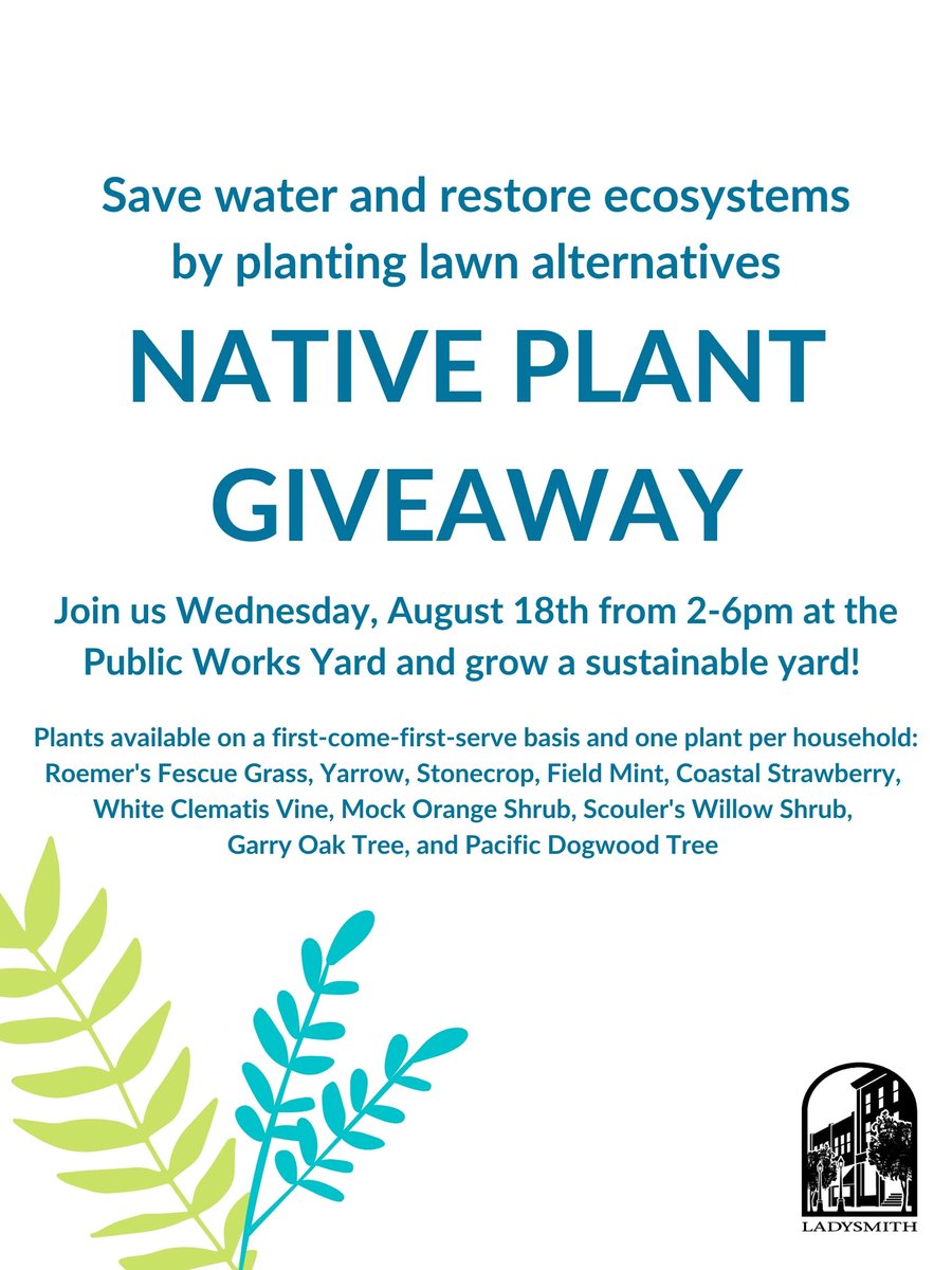 TownOfLadysmith's tweet photo. Protect our watershed, and begin transitioning to drought-resistant lawn alternatives! Join us at the native plant giveaway on Wed., Aug. 18th from 2-6pm, in front of Infrastructure Services. There will be a variety of plants native to Vancouver Island, so come grab yours! https://t.co/7f7ktVsWii