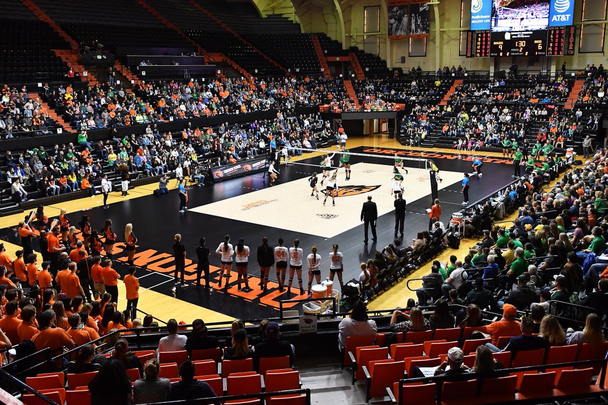 BeaverLos's tweet image. 🚨🚨ATTENTION🚨🚨 Looking for two great marketing minds to join our team in Corvallis! Now hiring for Assistant Director for Marketing &amp;amp; Fan Experience jobs.oregonstate.edu/postings/105291 #GoBeavs