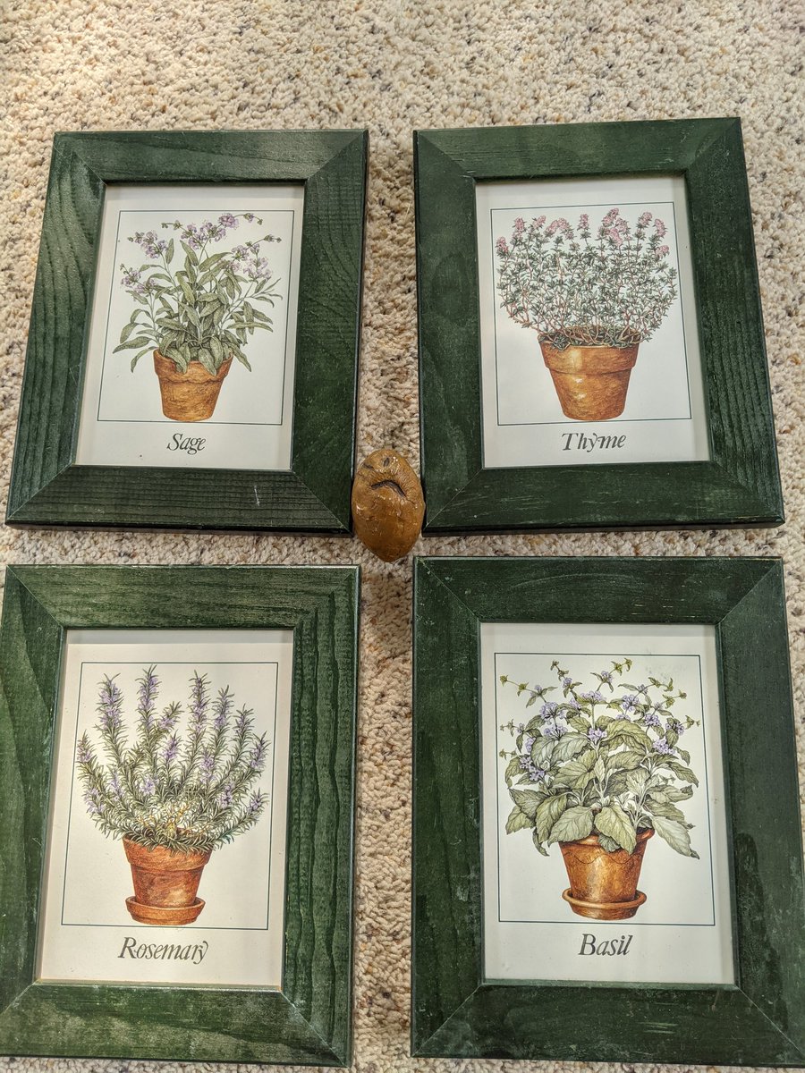 JenHaeger's tweet photo. Rosemary really wanted to give Basil some sage advice about herb-growing, but she just didn't have the thyme. #GrumpyPotato https://t.co/yIqbGgqBMW