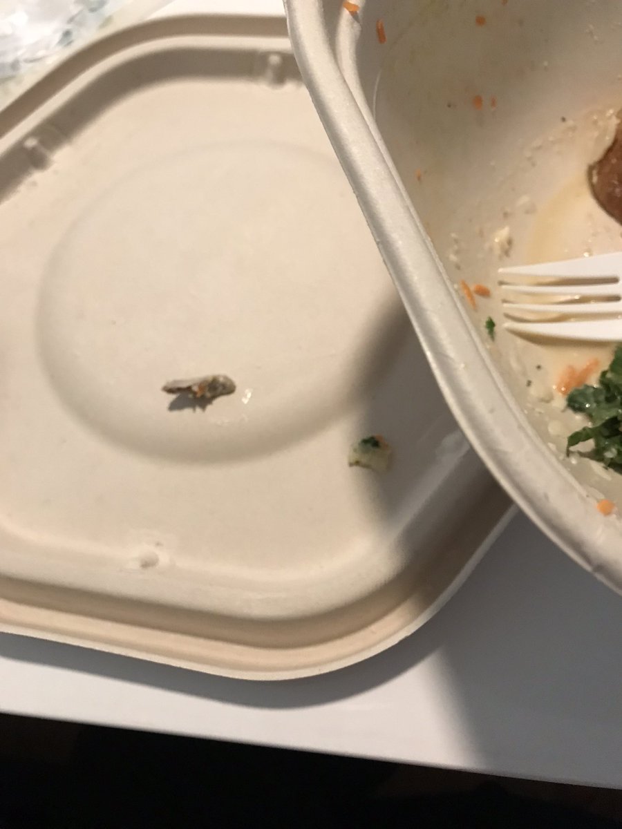 iamvblanco's tweet photo. Hey @sweetgreen I bit into this while eating my kale Caesar salad 😢 never had this happen to me before. https://t.co/7Qg4sYb11f