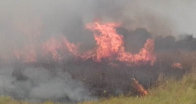 almayadeen_es's tweet photo. Bolivia en alerta por incendios forestales https://t.co/R11CQvfkuF #Bolivia #IncendiosForestales #Incendios #Brasil #Robore #SantaCruz #9Agosto https://t.co/rB67qRGYiv