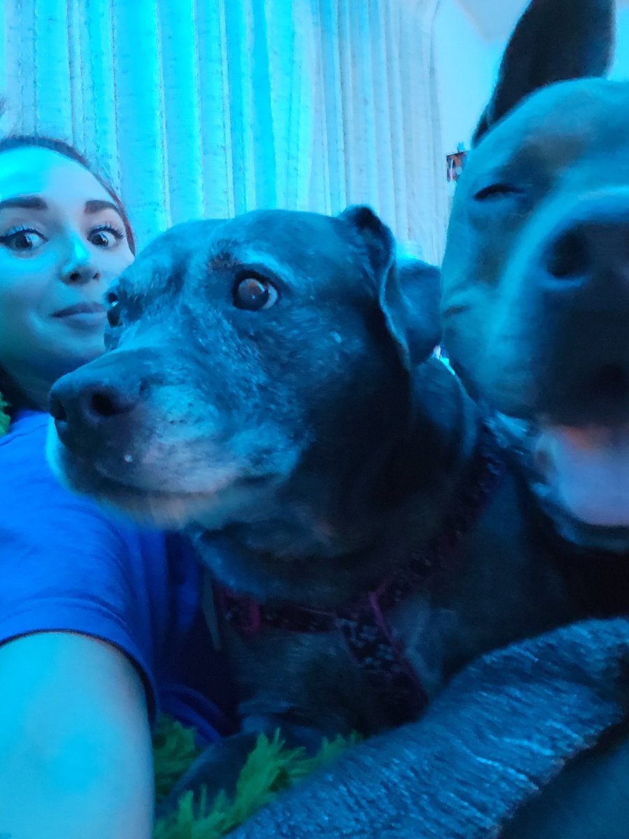 SarahJadePole's tweet image. Okay y&apos;all generally this is a 1 person recliner!!!!!!!! #thunderbuddy