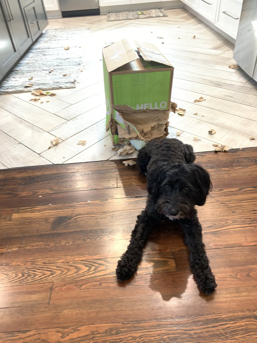 Whitney Vaughan Fike tweet media