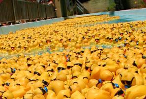 We are selling ducks for this year's Sertoma Great Topeka Duck Race scheduled for 9/18.

50% of sales on our team site as well as a portion of the overall net proceeds from the event will benefit the infants, children, and teens we serve who have speech and hearing disorders.
