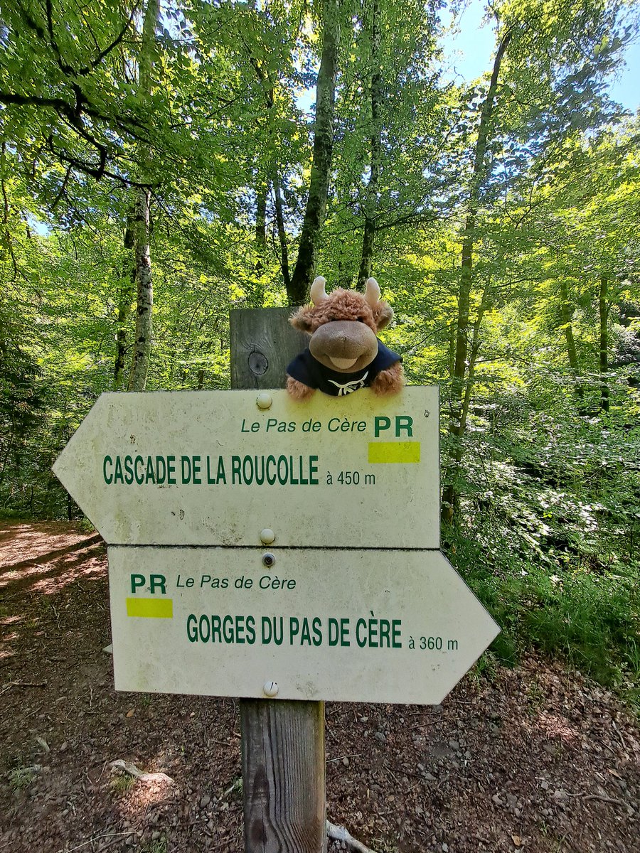 GouzonP's tweet photo. Une idée balade de la Petite Vache....
Découvrez les Gorges du Pas de Cère un dépaysement 🌴garanti au cœur du #Cantal
@cantalinspi @cantalauvergne @Auvergne @AuvergneMarque @otcarlades https://t.co/0bnnvTL0aU