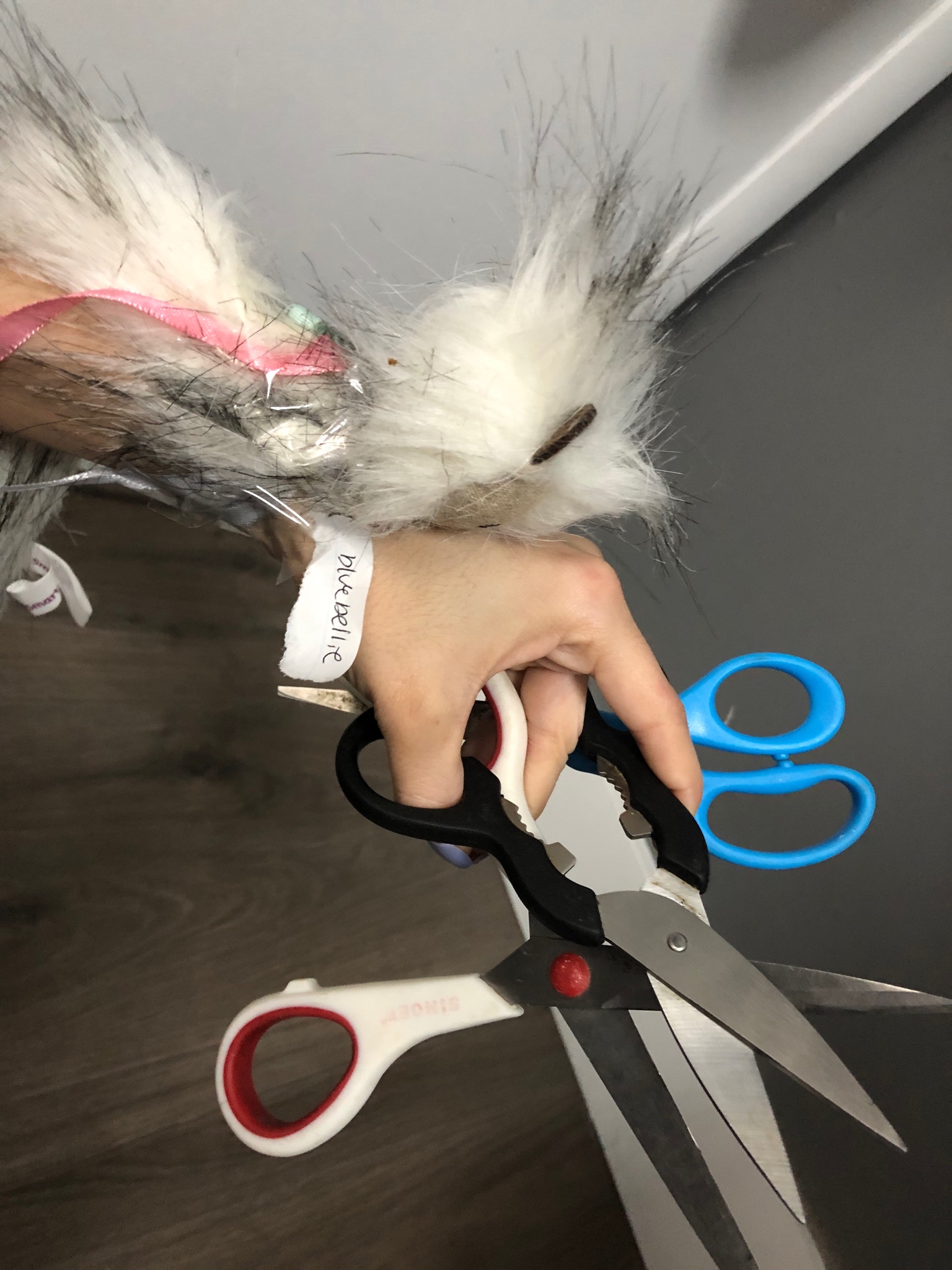 E8YWAanX0Ac19Zv