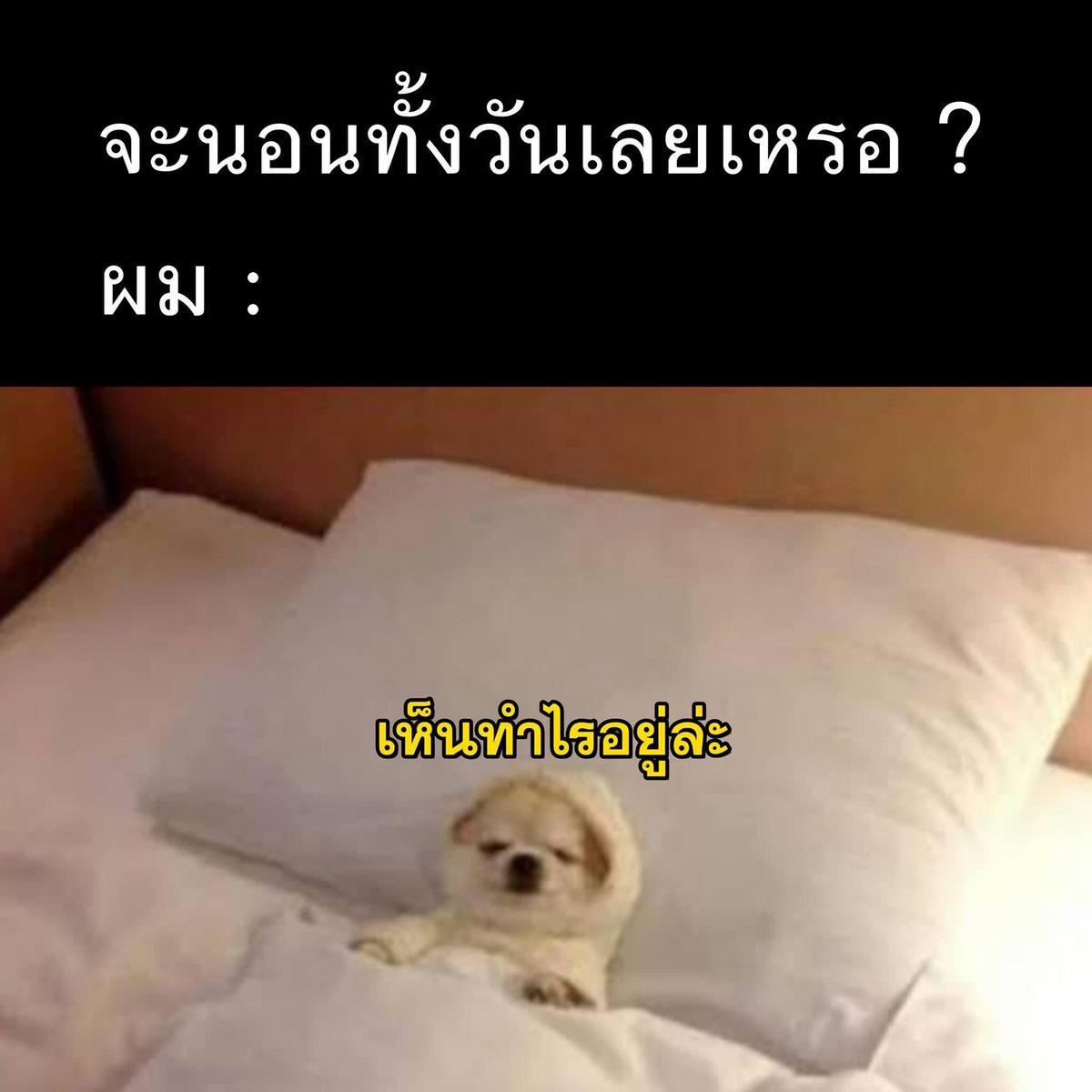ให้ผมได้นอนเถอะ
