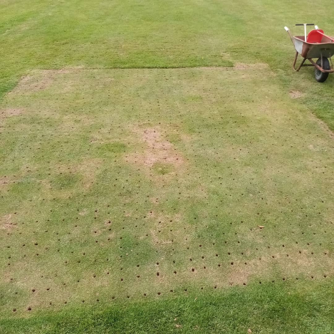 ashgrove_p's tweet photo. Coring, seeding and sanding on our practice Green over the past few weeks. It's starting to take shape now #hollowcore #sanding #overseeding #greenkeeper #coursemaintenance https://t.co/4nrKntzHGd