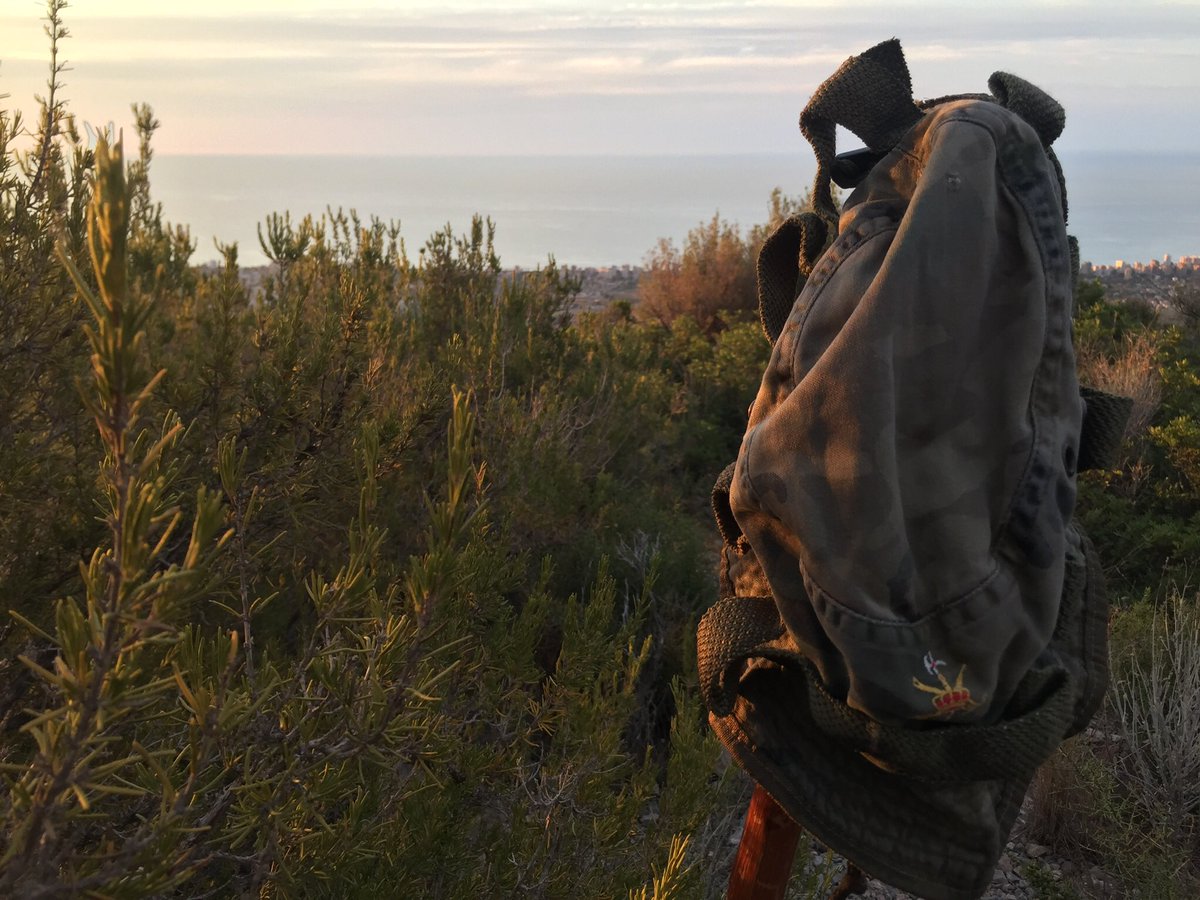 Jaumelic's tweet photo. “Quiero ser un feriante y venderte mis baratas quimeras.
Verter mi precario ingenio sobre la tierra caliente.”
#EUDF #QuéBienHuelenLosPinos
https://t.co/R9JYOMXiKx https://t.co/uDxcBgtWMX
