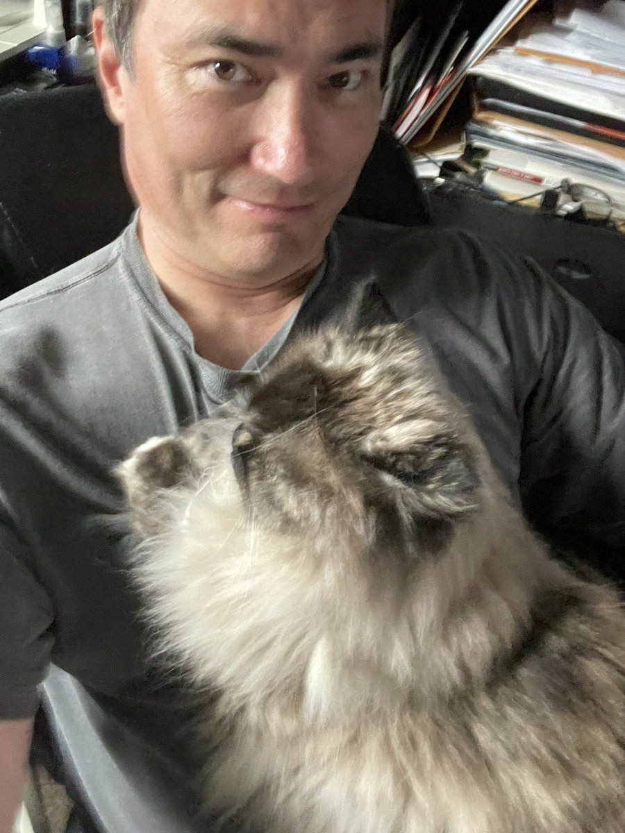 ChrisMcLd's tweet photo. Trying to create my stock watch list for tomorrow. #WorkingFromHomeProblems #BadKitty https://t.co/js9DE2fjSh