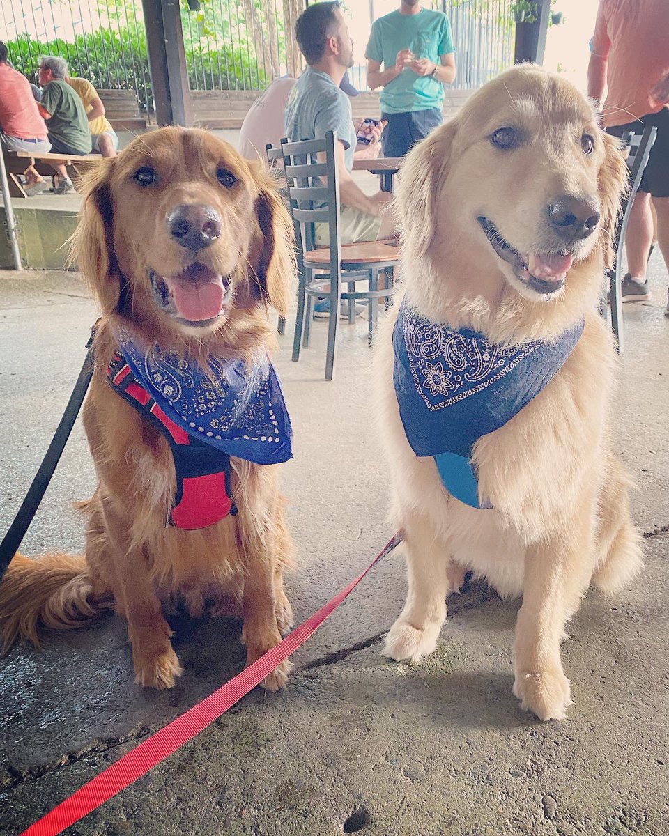 lisamckale's tweet photo. The boys 🐶 first run @widespreadpanichq #asheville. Good to be back JB… kiss the mountain air we breathe 🐶🍺🎸 #pursepretzel #ashevillepanic #widespreadpanic https://t.co/V7PCtIuncE