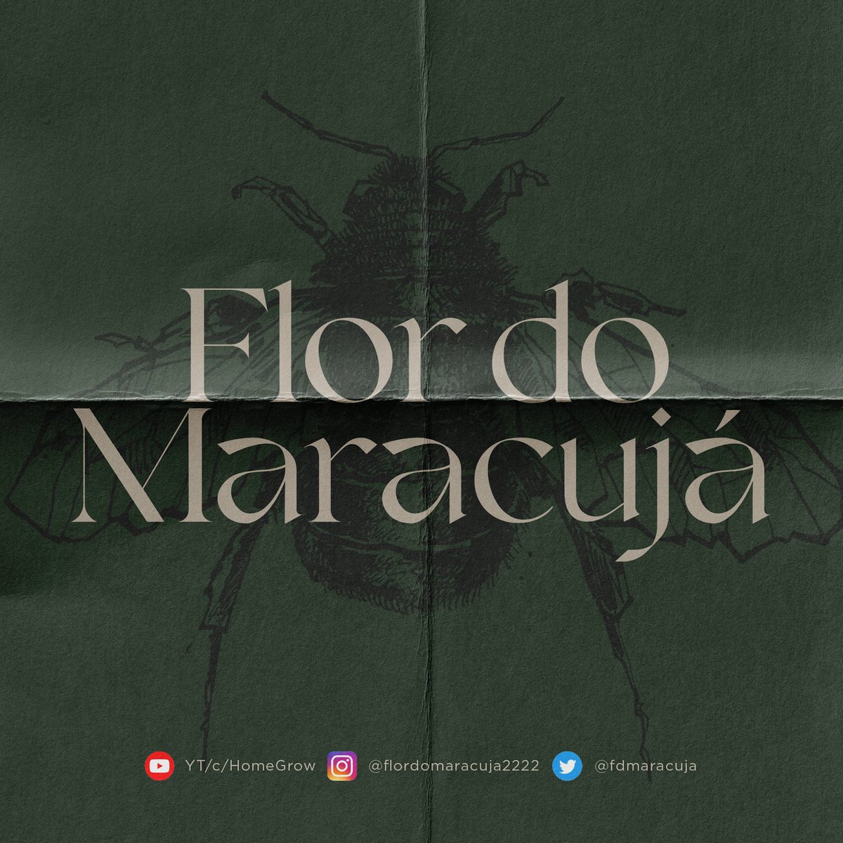 [@DrinMaster, @HomeGrowStudio] Master Drin chega repleto de sentimentos no belo projeto "Flor do Maracujá", confira bit.ly/3xudFTT