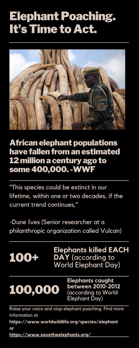 DanielHyun13's tweet photo. #39canimals, here is an infographic about elephant poaching https://t.co/ZHxrMPrvpH