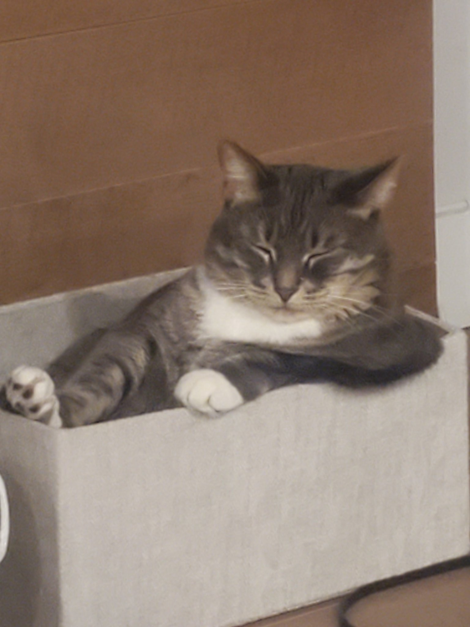    Happy Birthday Jessica Capshaw!!! 