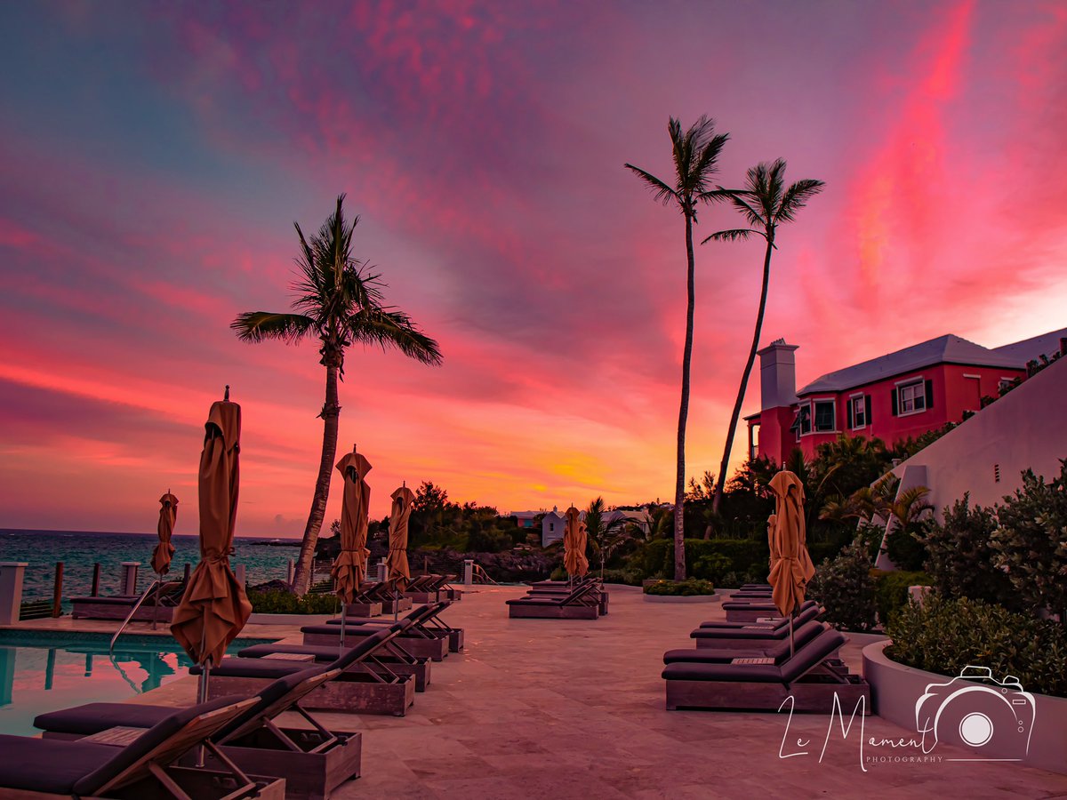 #bermuda