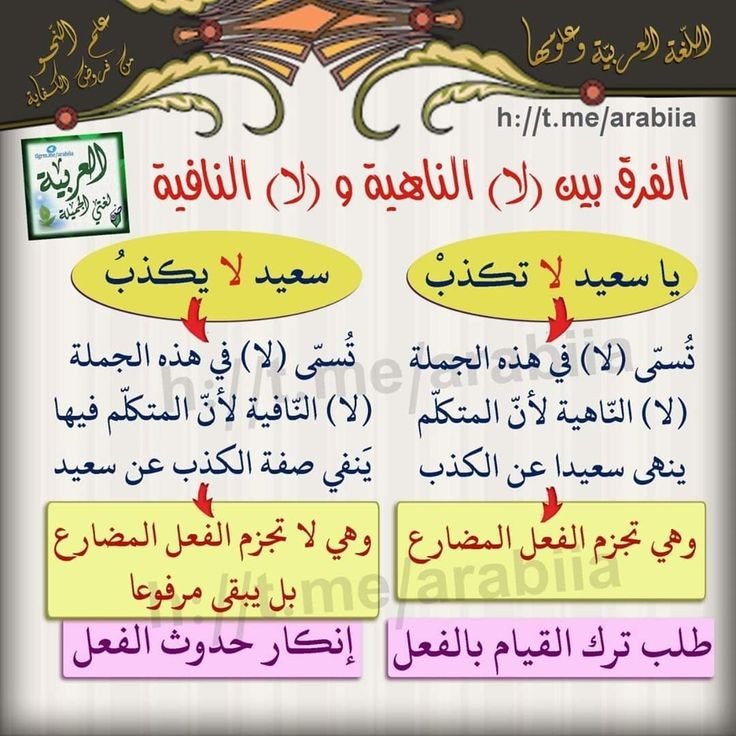 لا الناهية ولا النافية