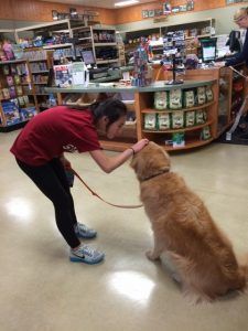 Newly Updated! Trying to get our Golden Retriever to pass the Therapy Dog Test and Where Are the Wheelchairs in Children’s Books? bit.ly/3vX5luX via @pragmaticmom #therapydog #wheelchair #ReadYourWorld #picturebooks