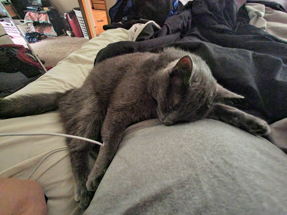 Re_shell11's tweet image. Little buddy knows someone is coming soon 🥰💙