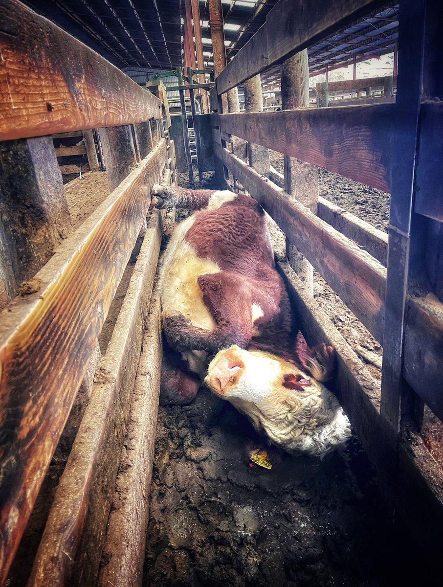 preg_tester's tweet photo. Tell me you’re gonna be late without actually telling me you’re gonna be late
I’ll go first… https://t.co/7LKGj9D209