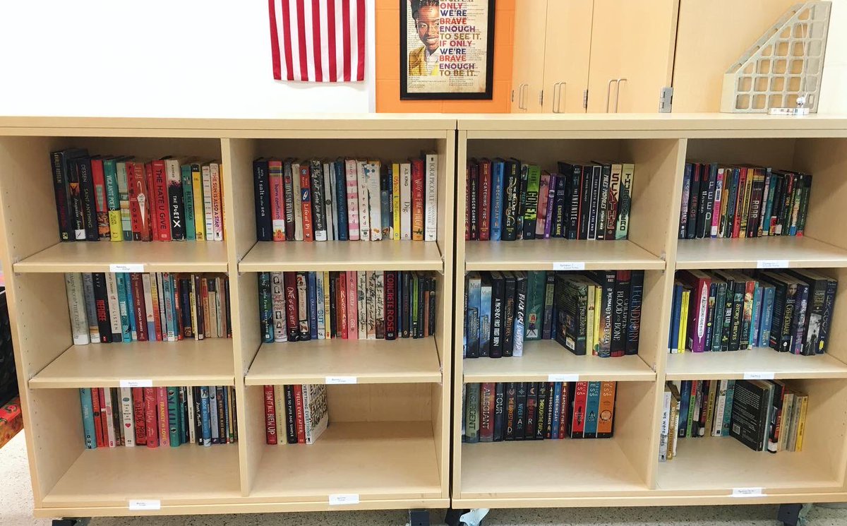 My classroom library clocked in at 459 titles—so it’s not an exaggeration to say that this English teacher’s shelves and heart are both full. I’m very grateful to <a href="/MSFabovebeyond/">MSF</a> and the generous community for awarding my grant, A Hundred Lives in 100 Books. Time to read! 📚