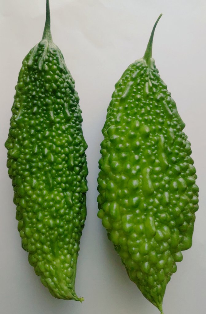 ひな 投資 去年食べたゴーヤの種を植えた結果 害虫に強いので水だけ与えれば放置しても大丈夫 今夜はゴーヤカレーにしようかな 本日の収穫 家庭菜園