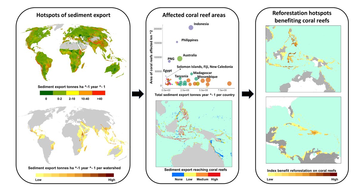 Felipe Suárez Castro tweet media