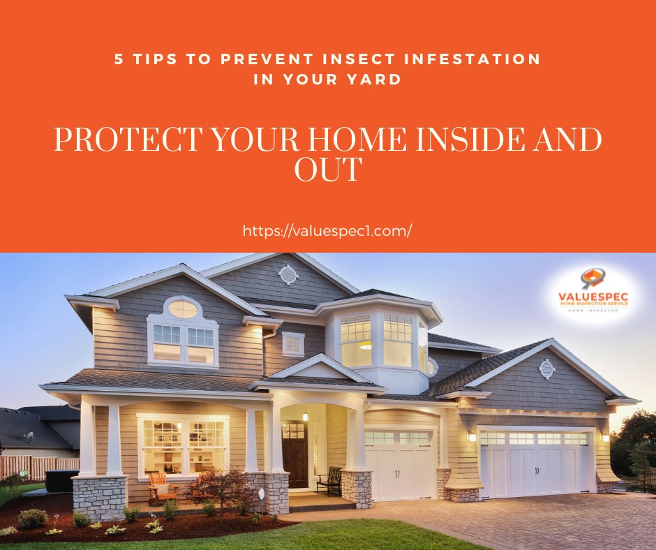 ValuespecS's tweet image. 5 TIPS TO PREVENT INSECT INFESTATION IN YOUR YARD

When creating your indoor and outdoor pest control strategy, a few preventative measures go a long way.

Visit us: g.page/valuespec1-hom…
Call us: (714) 643-2844