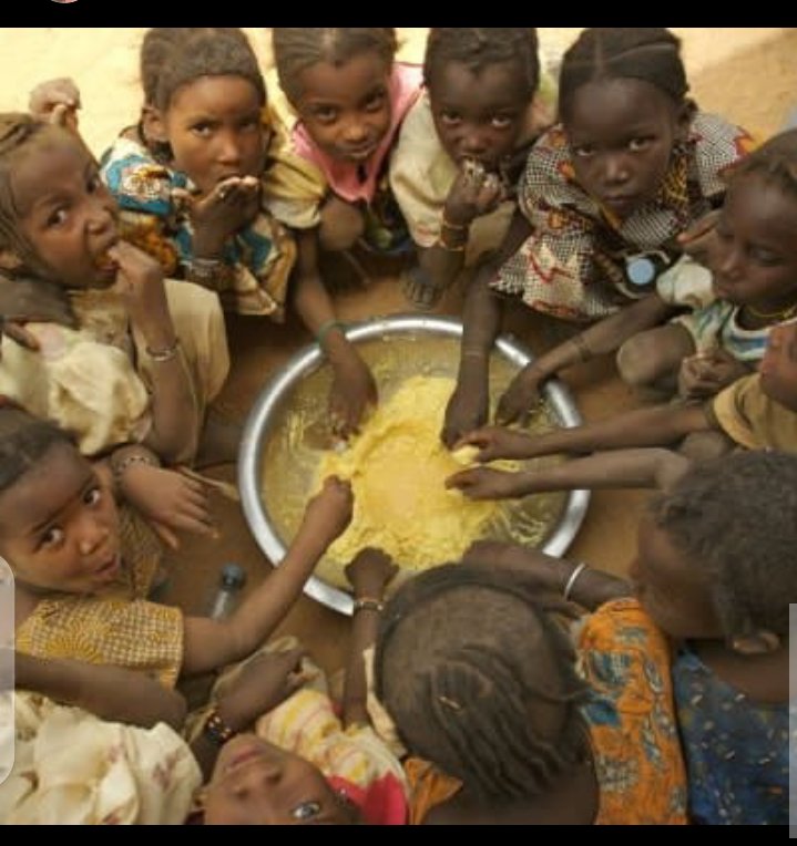 JrLempa's tweet image. They really need help please 🙏🙏🙏🙏🙏🙏🙏🙏🙏🙏🙏🙏🙏