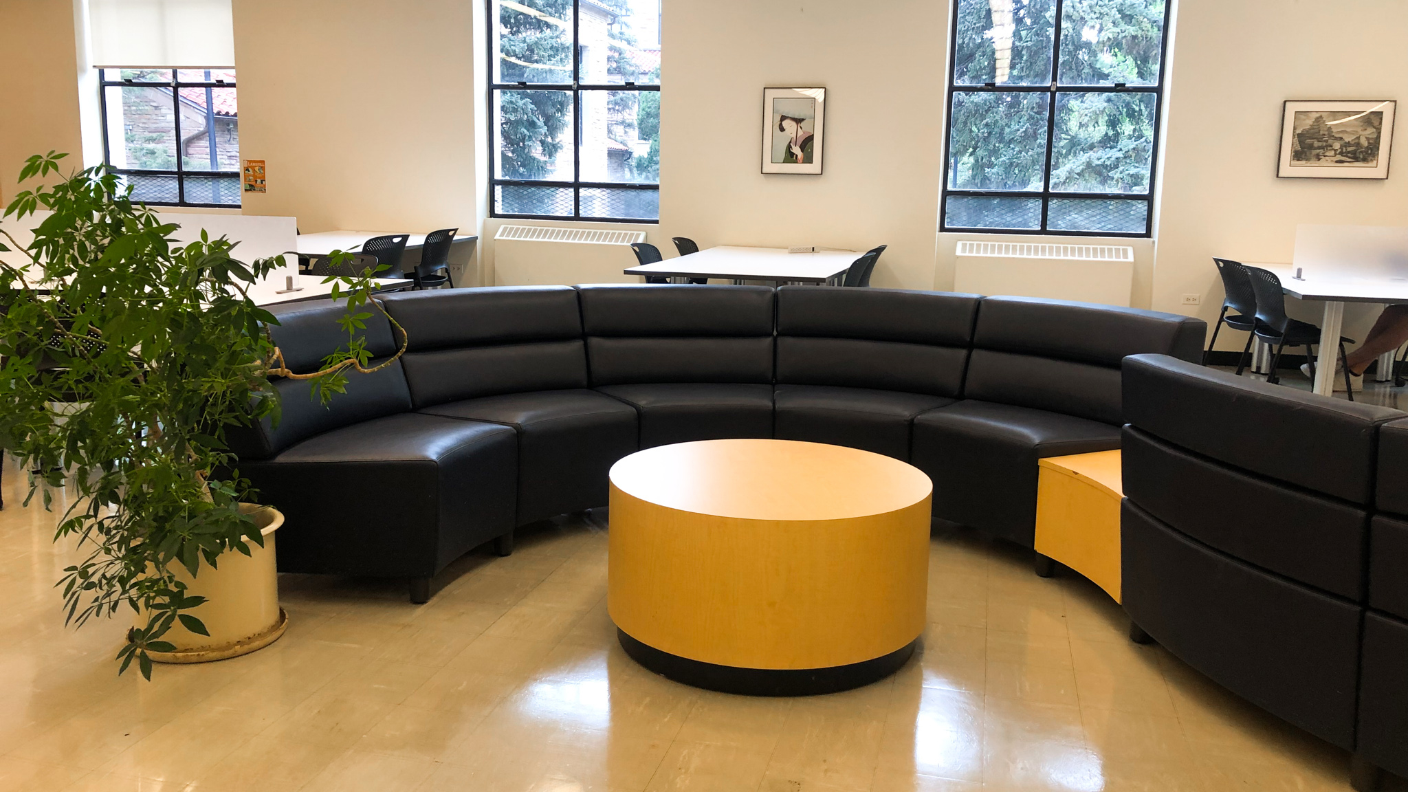 CU Boulder Libraries on Twitter: "Norlin is back! Get lost in the ...