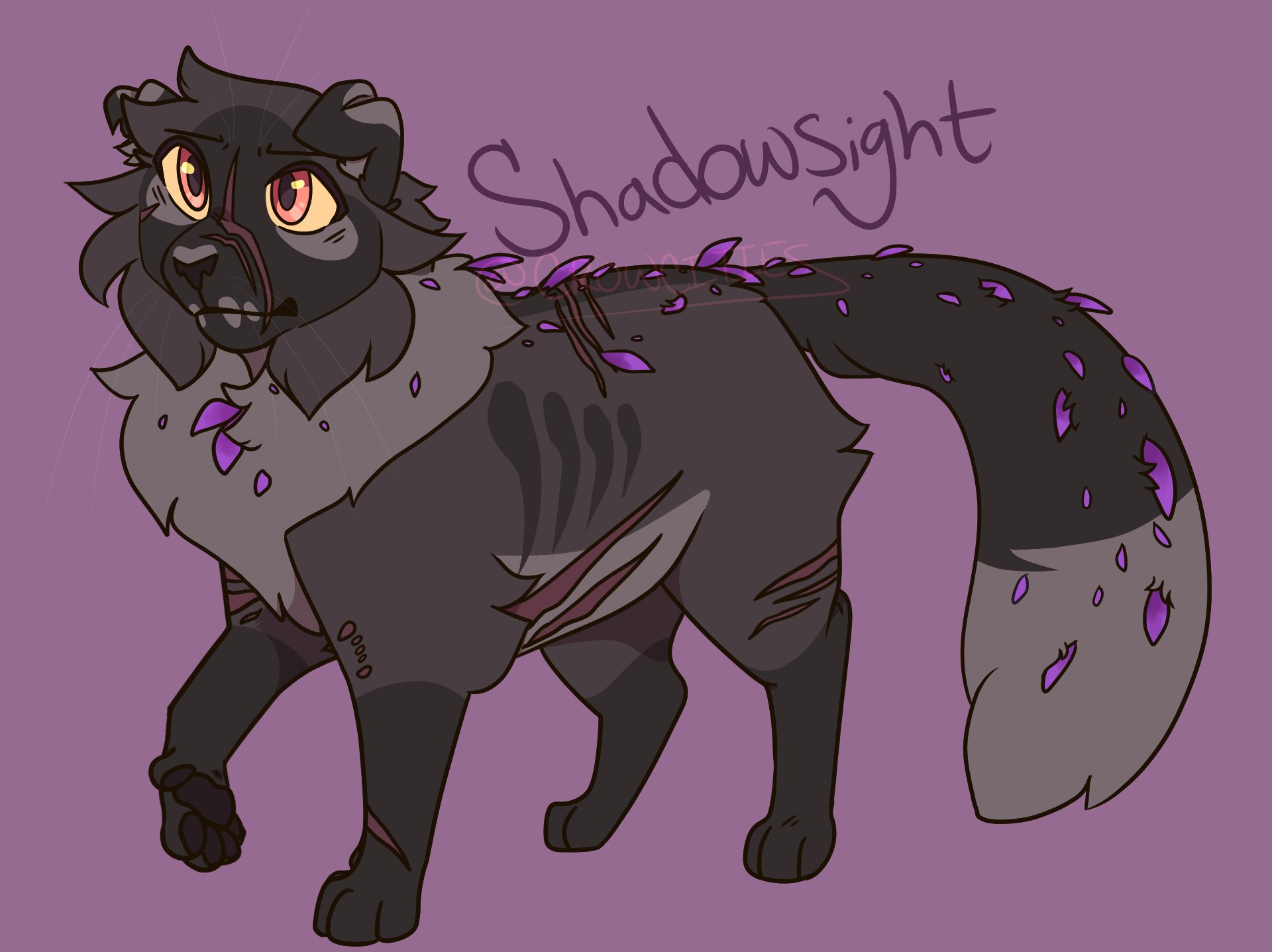 Shadowsight  Warrior cats art, Warrior cats, Warrior cat