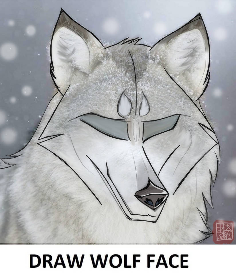 shireunoss's tweet photo. เผบยซโป ใ#DrawWolfFaceใ โปยปเผป
#็ผ #ๅ
ฝ #็ฃ #ํผ๋ฆฌ #๋๋ #ใฑใขใ #ใชใชใซใ #Furry #Wolf #WolfArt #TwitterArtists #ะคัััะธ #ะะพะปะบ #Meme https://t.co/nx4OuuPvk0