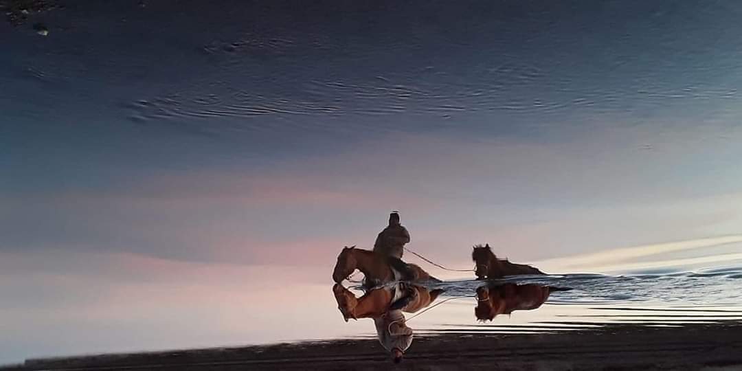 Гайхалтай буулгажээ. 
Утсаа эргүүлээд хараарай