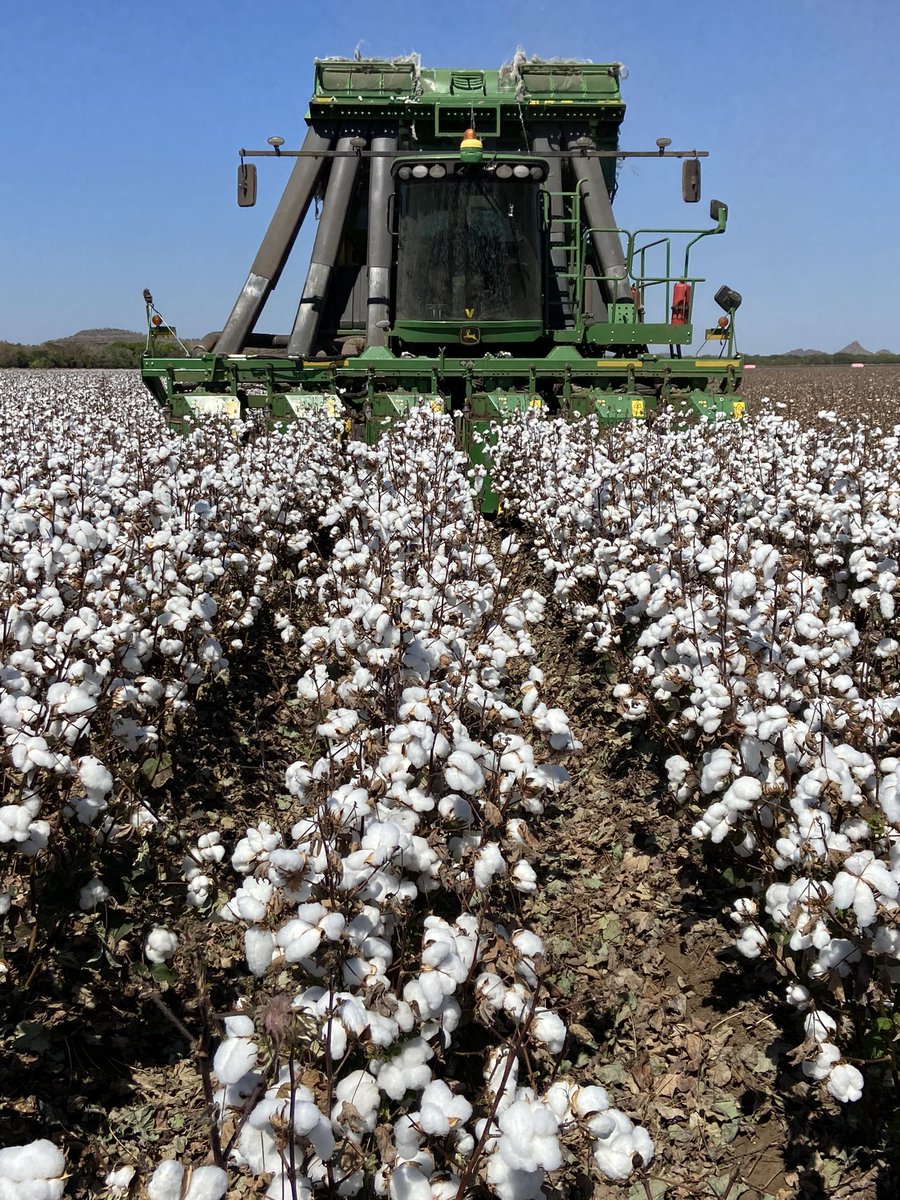 David Pfeiffer tweet media