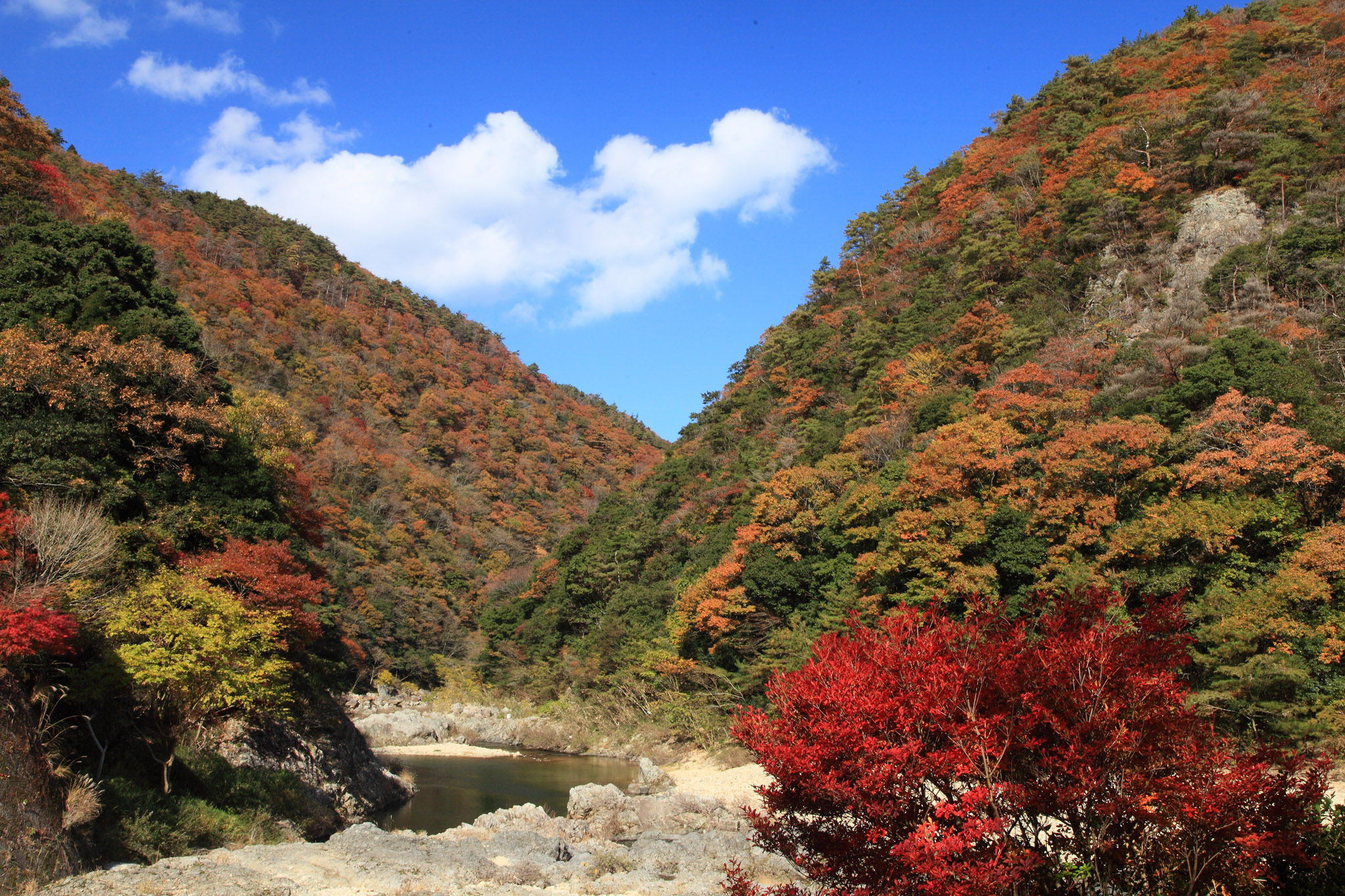 山口市 文化財保護課 涼しげな歴史文化資源 筆頭はなんといてっても長門峡 1912年 大正元年 山口高等商業学校の英語 教師エドワード ガントレットにより 紹介され 長門耶馬溪 と命名されました 写真は紅葉の季節です T Co