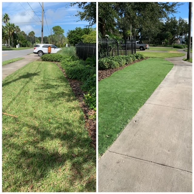 FCBofFlorida's tweet image. Let @FCBofFlorida come and make your home look beautiful all year long!! #WeDoYards